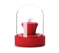 Hrtyvhin Glass Covered Jewelry Props Multipurpose Women Accessories Storage Stand Rings/Necklaces / / Earrings Organizers Personals Jewelry Organizers