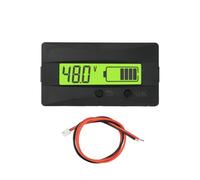 Hrtyvhin Panel Ready Battery Monitor, 9-120V LCD Voltage Capacity Gauge with Embedded Design for Acid LiFePO4 Power Units