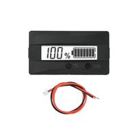Hrtyvhin Panel Ready Battery Monitor, 9-120V LCD Voltage Capacity Gauge with Embedded Design for Acid LiFePO4 Power Units