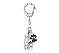 Hrtyvhin StainlessSteel Pet Urns Box Keychains for Dog Cats Memorial Collection Loss Memory Ashes Box Jewelry Memorial Urns