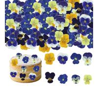 HSC Flowers for Cake, Cake Decorations, 48 Pieces 8 Types Naturally Dried Pressed Real Flowers for Cake Toppers, Cocktails, DIY Crafts, Multi-Coloured