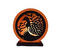 HSD Himalayan Salt Lamp - Pink Crystal Rock Salt Lamp with Natural Glow, Healing Ionising, Duck Shape for Home Decor