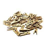 HSD Mini Wooden Pegs 100pcs Pack Mini Pegs for Decorative Photo Card Wall DIY Decorations Photo Clips Wooden Clothes Pegs Tiny Pegs Arts & Crafts Weddings & Events (Gold)