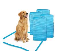 HSD Pack of 100 Puppy Pads 60 x 60 Large Size Dog Training Pee Mats Dry Paws, Highly Absorbent, Disposable and Leakproof