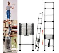HSHa Telescopic Ladder 3.8M/12.5FT Multi-Purpose Stainless Steel Extendable Ladder Portable Sturdy Loft Ladder for Window Roof Repair, Max Load 150kg/330lb