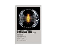 HSJKU Pearl Jam Dark Matter Poster Wall Art Canvas Cover Vintage Aesthetic Poster Decorative Painting for Living Room Bed Room 12x18inch(30x45cm) Unframe-style
