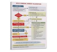 HSMXNEONJB Advanced Cardiac Life Support ACLS Algorithm Poster Code Blue Reference for Healthcare Providers Education(Unframed,16x24inch(40x60cm))