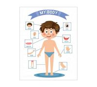 HSMXNEONJB Educational Bilingual Poster - My Body Parts in English & Spanish, Visual Learning Aid for Preschool, Kindergarten, Dual Immersion or Homeschool Setup(Framed,12x18inch(30x45cm))