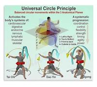 HSMXNEONJB Movement in Three Planes Poster Circular Balance Principles Anatomy Chart Canvas Wall-Art for Physical Office Decor(Unframed,08x12inch(20x30cm))