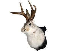 HSOSK Jackalope Mount, Jackalope Taxidermy, Animal Head Wall Decor, Deer Head Wall Mount, Resin Deer Head Animal Wall Mount,for Home Wall Decoration. Home Decor