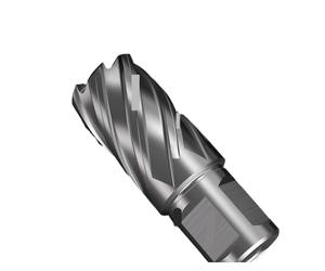 HSS Annular Cutter Mag Drill Bit - 1pcs 30/55mm Length Hollow Shank for Metal Hole Cutting 11~39mm Plate Drilling Tool for, Wood(29x55mm)