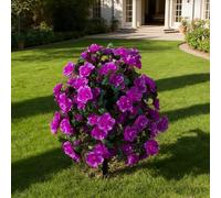 HSTEY Artificial Silk Azalea Flowers Topiary Ball with Ground Stake, Purple