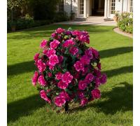 HSTEY Artificial Silk Flowers Azalea for Outdoor with Ground Spike, Spring Summer 23" Faux Floral Topiaries Ball Bushes Shrubs for Home Garden Yard Patio Decor UV Resistant (Purple)