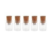 Hsthe Sea 5 PACK 32GB Cute Flash Drive USB 2.0 Storage Jars Unique Box Glass Jar Bottle and Cork Memory Stick Pen Drive Wedding Gift Electronics Fancy Pendrive