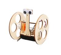 Hsyzygian Compact Storage Modular Wooden Educational Toy Set for Kids Building Balancing Robot to Foster Learning Physics Toy