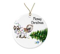 HTDesigns Ragdoll Cat Christmas Ornament - Funny Ornaments for Cat Lovers - Cute Printed on Both Sides