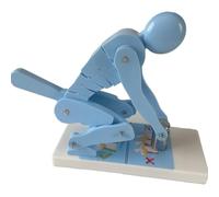 HTDRE Human Weight Lifting Spine Force Model, Lumbar Spine Protection & Correct Posture Teaching Tool Demonstration Teaching Model, For Educational Use