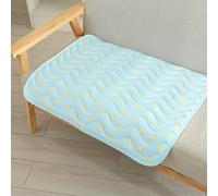 HtoxinDian Pet Pad Cool Summer Pet Mat Ice Silk Breathable Dog Sofa Mat Soft Cute Dog Ice Mat for Cat Puppy
