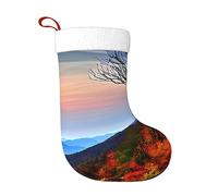 HTRDJH Color Acoustic and Guitars Festive Christmas Stockings 18 Inches Stylish Plush Socks for Family Party Classic Decorations