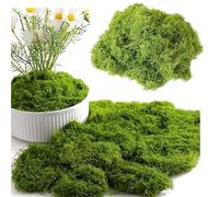 HTRY 500g Artificial Moss Premium Fake Green Moss A Combination Of Filamentous Moss And Moss Mats In The Same Color For Terrarium Potted Plant Home Garden(Size:Loose moss 100g)