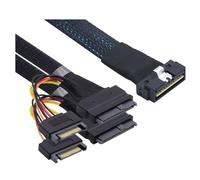 Htuteyy PCI-E Slimline SAS SFF-8654 8i to Dual SFF-8639 U.2 NVME SSD Cable with SATA Power High-Speed Data Transfer PCI-E Slimline SAS All Inclusive Scoop-Proof 0.5M
