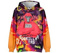 HTXLJ Kids Gorilla Tag Hoodie Boys Gorilla Tag 3D Figure Sweatshirt for Fans Gift Kids Gorilla Tag Character Group Hoody (1,170CM,15 Years,16 Years)