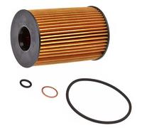 Oil Filter HU8007z MANN 11425A33C42 11425A33C43 11427583220 11427600089