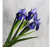 huaao Pack of 3 Artificial Iris Flowers, Long Stems, Fake Artificial Flowers, Iris Decoration for DIY Flower Arrangements, Wedding Bouquet, Photo Props Decoration, Home Party Table Decoration, Purple