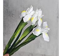 huaao Pack of 3 Artificial Iris Flowers, Long Stems, Fake Artificial Flowers, Iris Decoration for DIY Flower Arrangements, Wedding Bouquet, Photo Props Decoration, Home Party Table Decoration, White