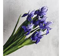 huaao Pack of 6 Artificial Iris Flowers, Long Stems, Fake Artificial Flowers, Iris Decoration for DIY Flower Arrangements, Wedding Bouquet, Photo Props Decoration, Home Party Table Decoration, Purple