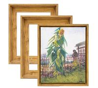 HUACANVAS 3Pack Canvas Floater Frame,Canvas Floating Frame 3/4" Depth,Floater Frames for Canvas Paintings,Canvas Picture Frame,Canvas Frame,Frame for Canvas Print (12"x16",Walnut Brown)