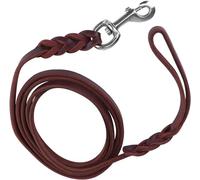 HuaDmaing Leather Dog Leash 4.9ft/1.5m - Heavy Duty Training Lead,Rotating Clasp - Anti-Pull, Braided Handle for Large/Medium/Small Dogs, Tangle-Free & Hair-Resistant (Brown)