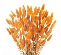 HUAESIN 120PCS Natural Lagurus Ovatus Bunny Tails Pampass Grass Orange Bunny Tails Grass Natural Dried Rabbit Tails Dried Flowers Bouquet for Home Decor Autumn Party Arrangement Wedding Bouquet