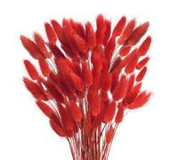 HUAESIN 120PCS Red Bunny Tails Pampass Grass Dried Bunny Tails Grass Natural Rabbit Tails Dried Flowers Bouquet for Home Decor Autumn Christmas Halloween Party Decor Wedding Aarrangement
