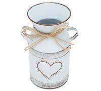Huairdum Galvanized Iron Vase 7.7 Inch Height Heart Shaped Rope Design, Artificial Flowers Dried Pampas Grass Vase, Rustic Farmhouse Table Centerpiece, Ideal for Living Room Shelf Wedding