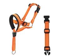 HUAJINGKEJI Nylon Dog Muzzle Mouth Guard Staffordshire Adjustable Strap Muzzle Comfortable Strap Reflective High-end Dog Mouth Guard for Small Dogs