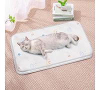 HUAMIAN 2 Pack Dog Cooling Mat Bed, Instant Cooling Pad for Dogs & Cats, Ice Silk Fabric Double-Sided Pet Cool Mat, Summer Essential for Pets Heat Relief (Style 2,60 * 100 cm)