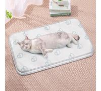 HUAMIAN 2 Pack Dog Cooling Mat Bed, Instant Cooling Pad for Dogs & Cats, Ice Silk Fabric Double-Sided Pet Cool Mat, Summer Essential for Pets Heat Relief (Style 1,45 * 75 cm)