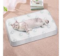 HUAMIAN 4 Pack Dog Cooling Mat Bed, Instant Cooling Pad for Dogs & Cats, Ice Silk Fabric Double-Sided Pet Cool Mat, Summer Essential for Pets Heat Relief (Style 1,40 * 60cm)