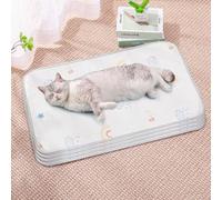 HUAMIAN 4 Pack Dog Cooling Mat Bed, Instant Cooling Pad for Dogs & Cats, Ice Silk Fabric Double-Sided Pet Cool Mat, Summer Essential for Pets Heat Relief (Style 2,20 * 30cm)
