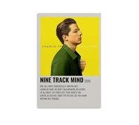 HUAMINGUKYYDS Nine Track Mind by Charlie Puth Poster; Room Aesthetics, Canvas Oil Painting, Album/movie Poster Hanging Picture