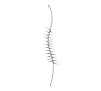 HUANGING Modern Thorn Fishbone Pendant Necklace for Edgy Outfits, A