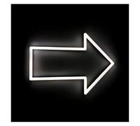 HUANTY Neon Sign Party Decoration Directional Arrow Led Light Neon Sign Home Wall Decor Bar Restroom Signage Arrow Signs Bulbs Store Decors USB Power(F,22cmX16cm)