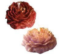 HUANYO 2-Pack Gold Plated Rose Scented Candles, 2 Colors Red & Blue, Soy Wax Blend Aromatherapy Gift Set for Home Fragrance, Relaxation, Birthday, Women Mum Wife