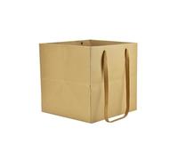 HUAPRINT Brown Paper Bags with handles,Gift Bags Bulk 24 Pack,25x25x25cm Square Size Large,Paper Shopping Bags, Kraft, Party, Birthday,Favor, Goody, Take-Out, Merchandise, Retail Bags
