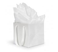 Huaprint Modern Square Gift Wrapping Set - 12 Pack 15.2x15.2x15.2cm White Gift Bags with Tissue Paper. Sleek, Reusable & Complete for Luxe Presentation