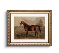 HUARCEY Canvas Pictures with Gold Frame, Vintage Wall Pictures, Classic Wall Decoration, Living Room, Bedroom, Bathroom, Kitchen, Farmhouse Room Decoration, Aesthetic, Horse Animal Painting, 33 x 40