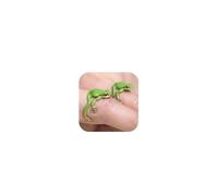 HUASAI Frog Ring for Women Green Latest Tree Frog Rings Cute Frogs Gifts Trendy Stuff Open Adjustable Handmade Frogs Jewelry, Metal, No Gemstone
