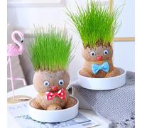 Huasean Grow Your Own Kits | 2 Grass Head Doll Plant | Grass Head Plant Growing In Bonsai Pots | Grass Heads For Kids To Grow | Cute And Funny For Men Women