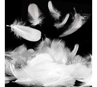 HUATEEN White Feathers,200 PCS Feathers for Crafts Natural Goose Feathers Decorations Feathers for DIY Dream Catchers Hats Costume Millinery Home Party Decor Wedding Decorations 5-8CM